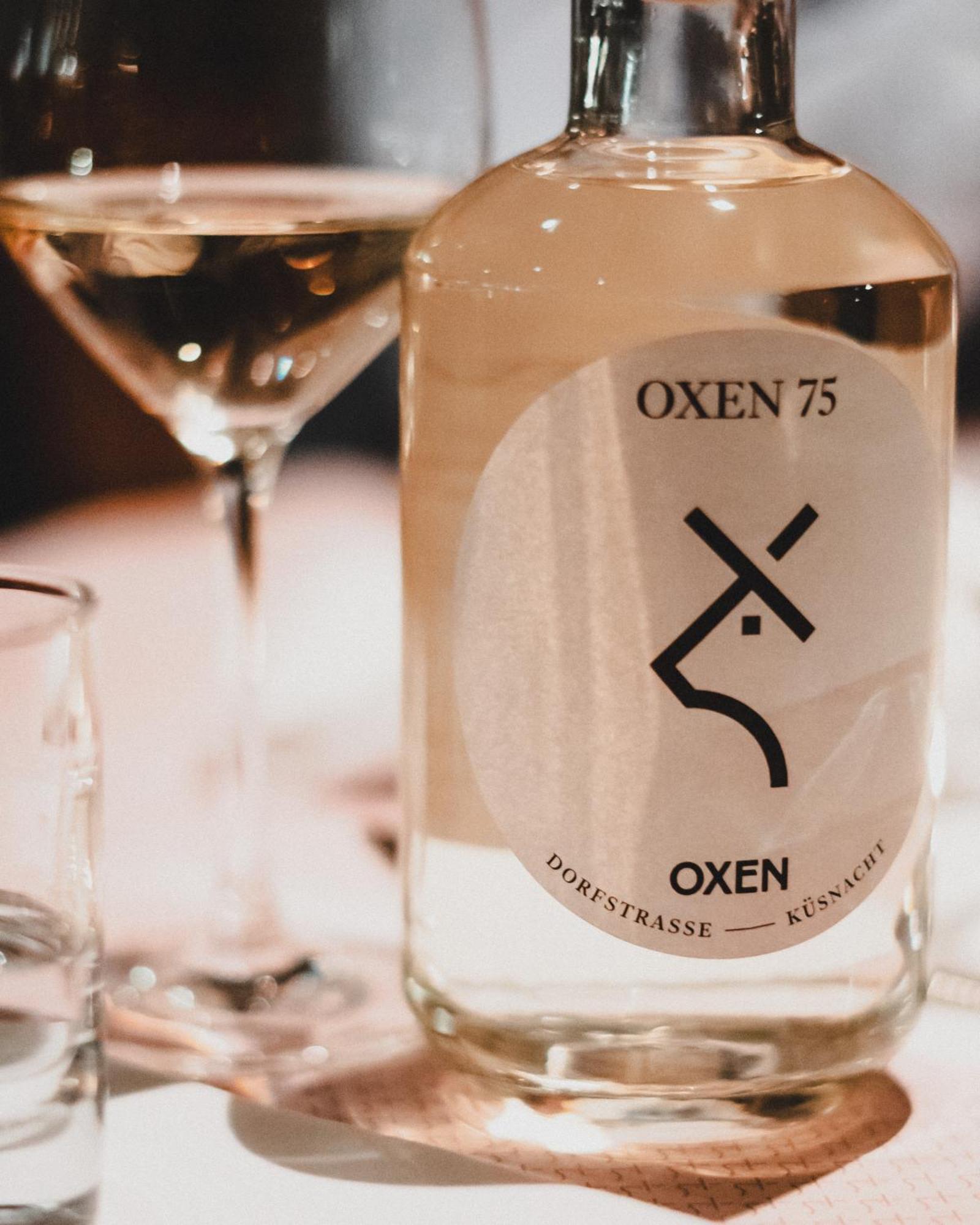 Gasthof Oxen Kusnacht Ngoại thất bức ảnh